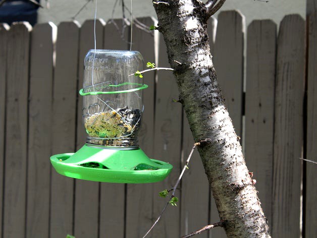 Bird Feeder by mmigchelb