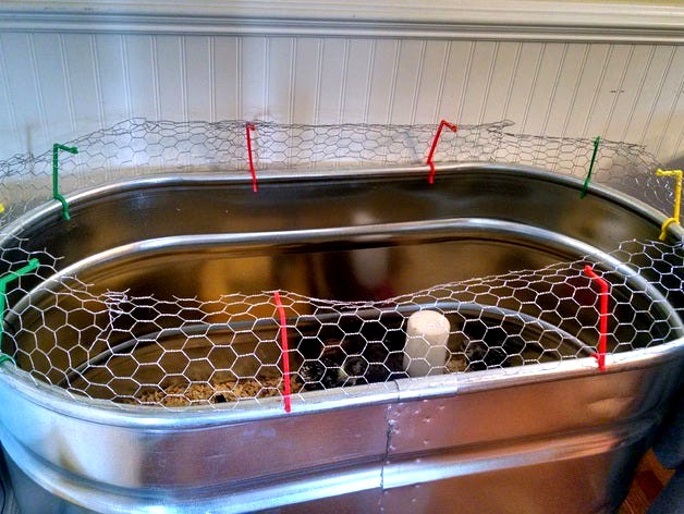 Jurassic Cluck: Chicken Brooder Fence by Andrew_Thaler