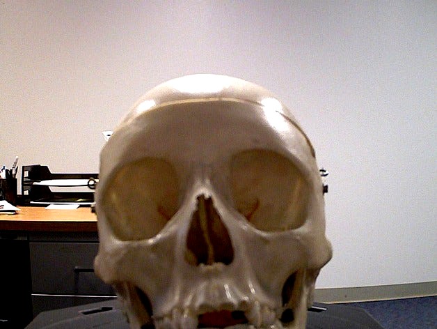 Dr. Skully by cew1968