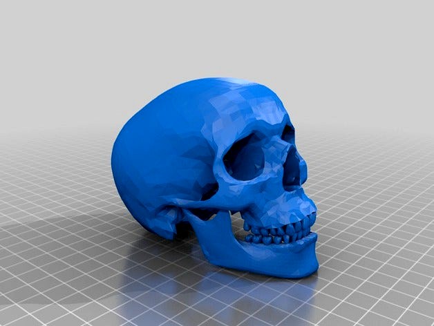 Human_Skull by nrs250