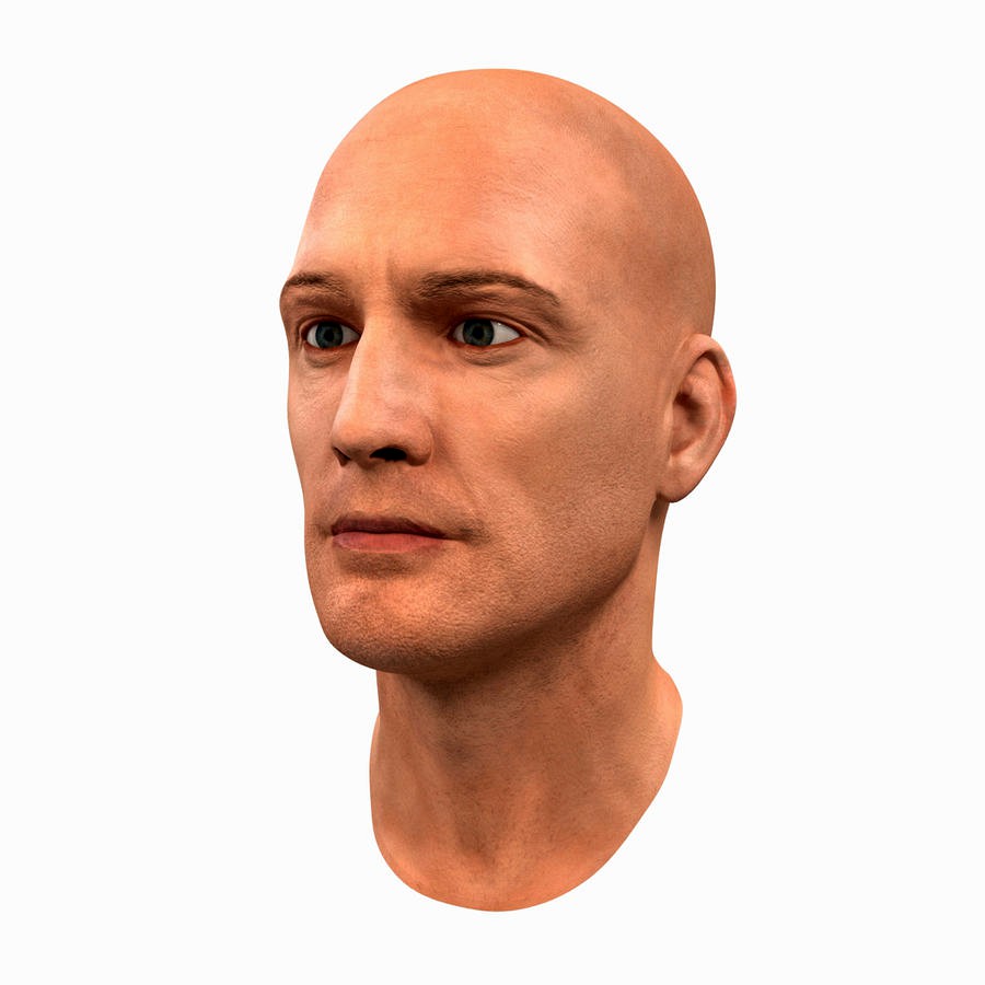 Male Head 6 3D Model