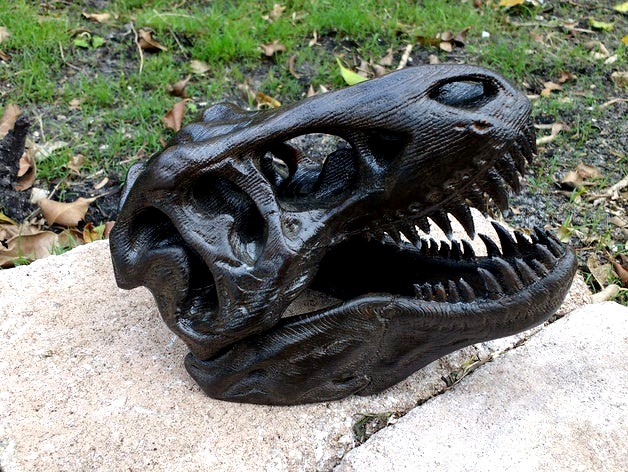 T-Rex Skull Wood Grain by Angry_Samsquanch