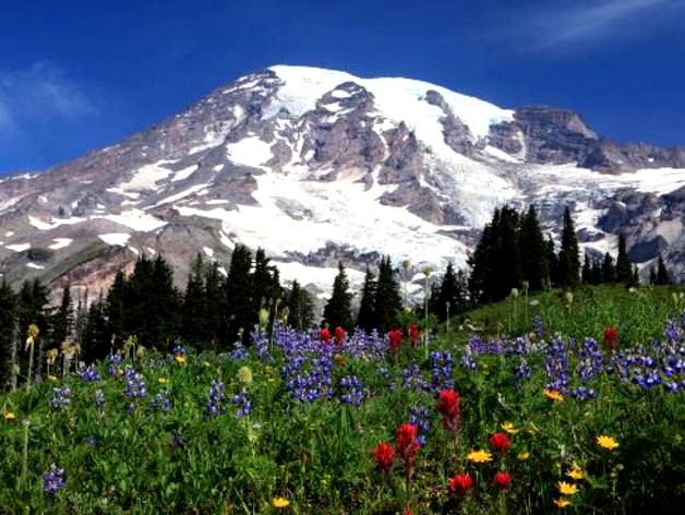 Mount Rainier by WyattChurch1