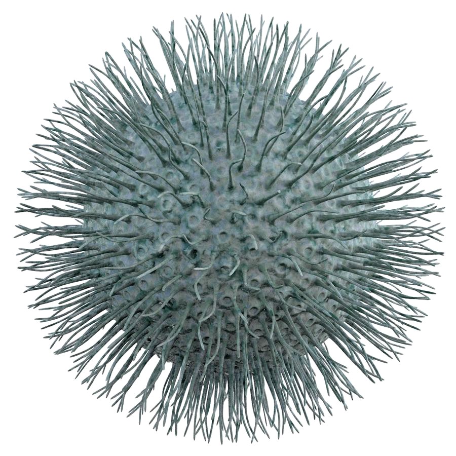 Micro Object MHT 082