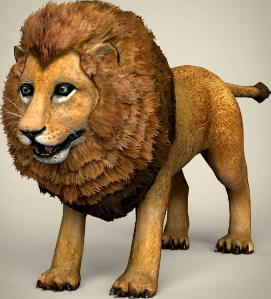 Low Poly Realistic Lion 3D Model