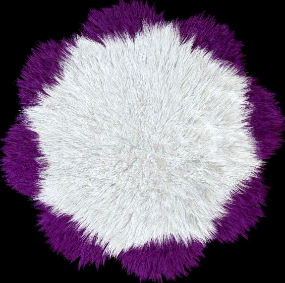 Carpet Daisy 3D Model