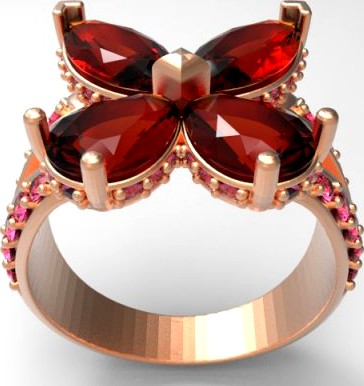 Fly ring 3D Model