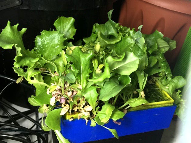 hydroponics by vitos