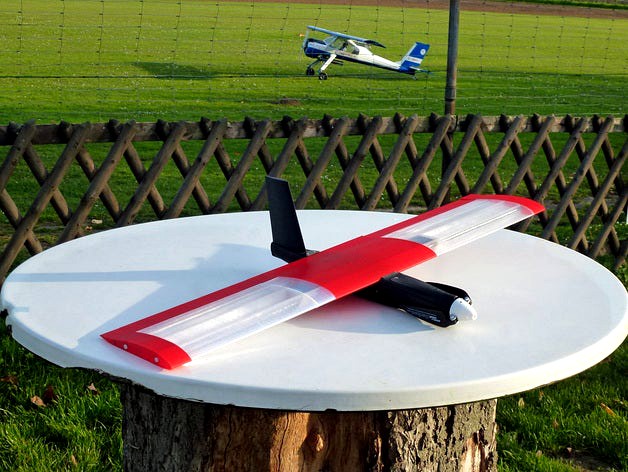 Speedy "Red Mini Wing" RC Plane by wersy