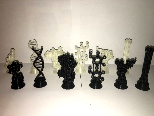 Biochemistry Chess Set by chemteacher628