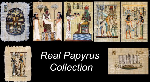 7x REAL PAPYRUS COLLECTION 3D Model