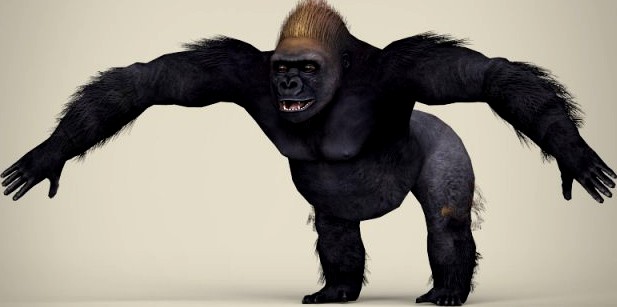 Low Poly Realistic Gorilla 3D Model