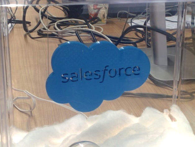 Salesforce Logo (with hangers) by Whatakuai