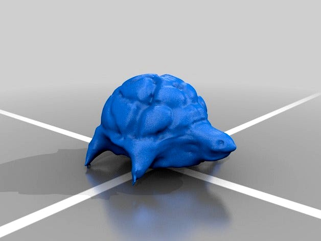 Turtle model by LCDS