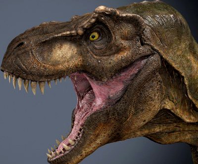 Tyrannosaurus Rex 3D Model