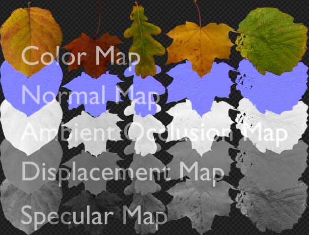 5 Leaves Texture Pack 3D Model