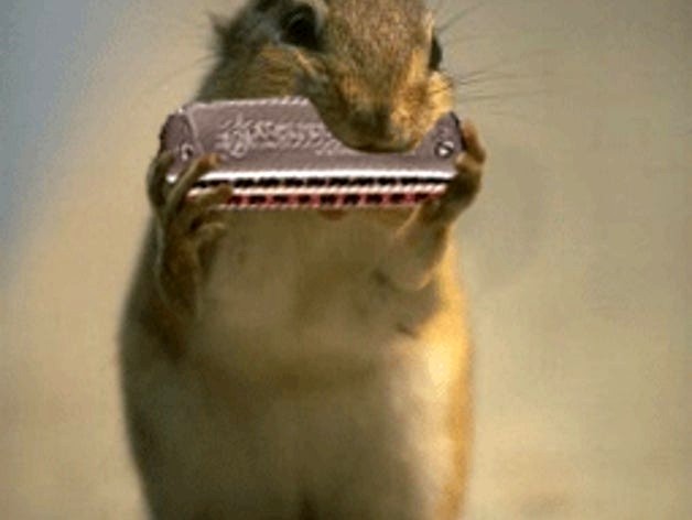 mouth organ by boopathin68