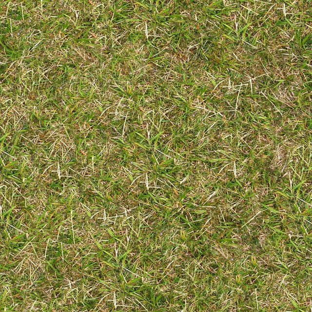 HQ Grass terrain textures 3D Model