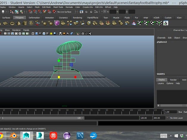 Customizable Fantasy Football Championship Trophy by awahl