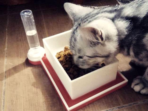 Cat Bowl with auto filled anti bug moat + Bottle by Parkpaya