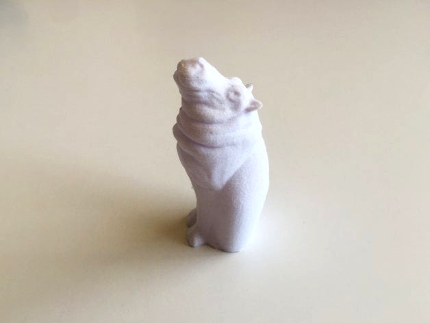 Cat Hippo by David_Mussaffi