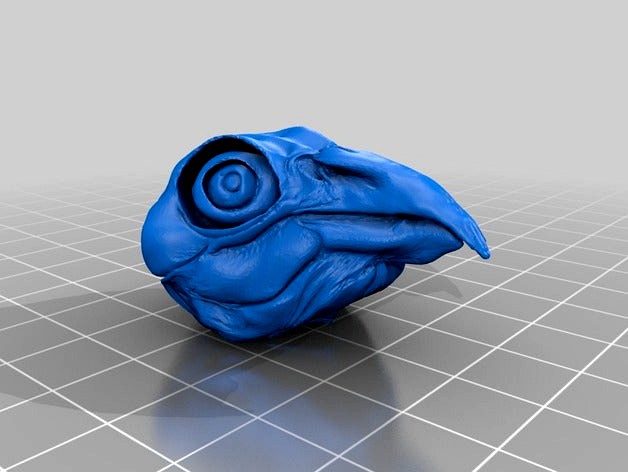 Bird Skull by ReneeCelDesign