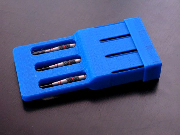 Dart Case by Carasibana