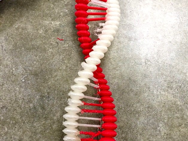 DNA Molecule  by real3ddesignz