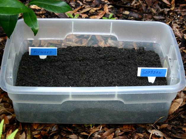 Plant Label by mrigsby