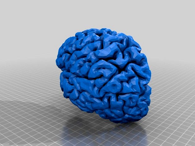 Human Brain by maus_