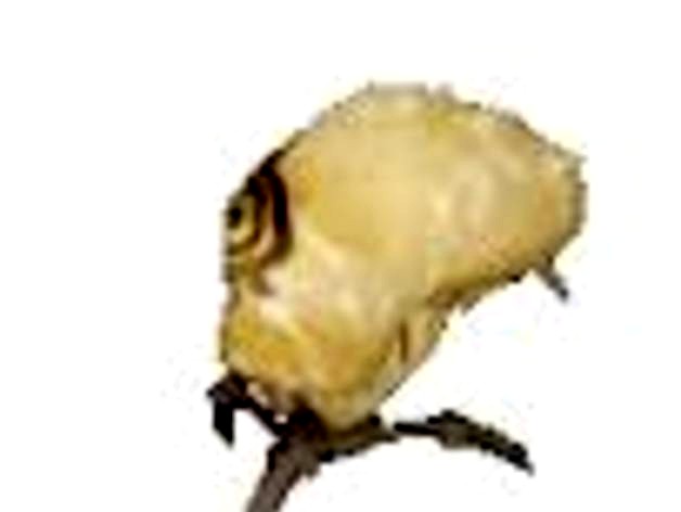 Kankrelat (Code Lyoko) XANA MONSTER by pixeldonovan