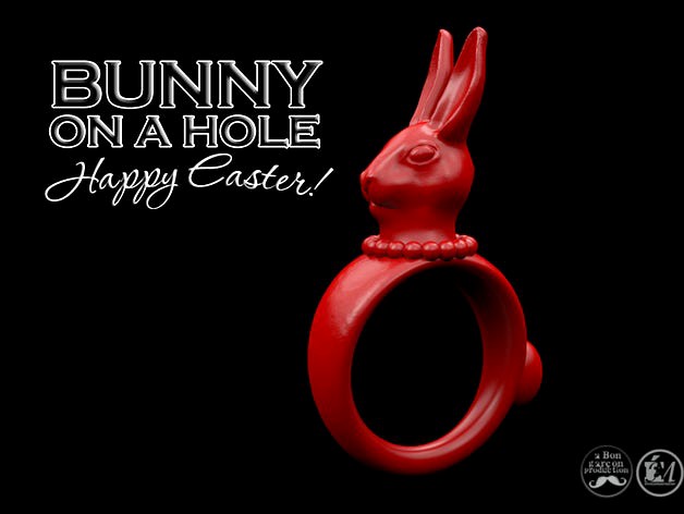 BUNNY on a HOLE  (psssst... it's a rabbit, but's it's Easter so...) by BonGarcon