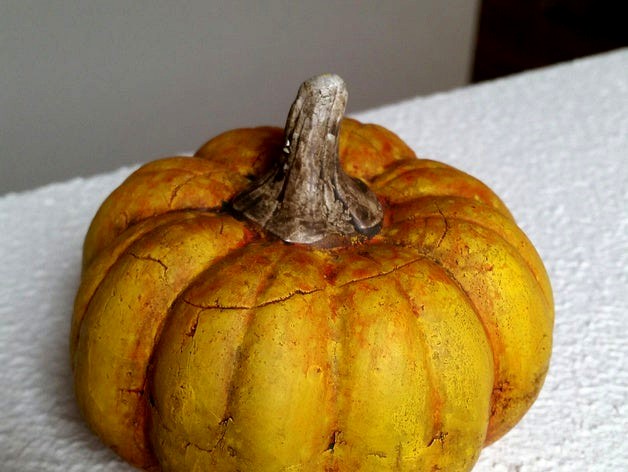 Citrouille (pumpkin) by lbo