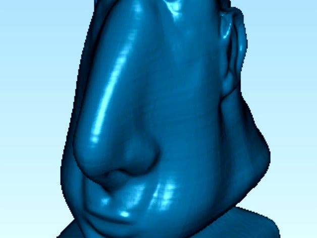 NOSE GUY by einscan