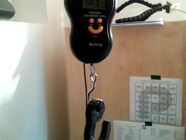 Hook for hook scale by bundyr