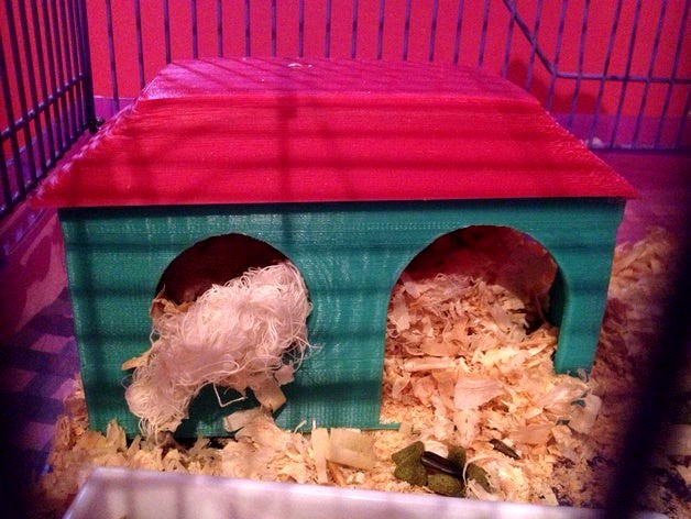 Hamster House by pedromartins