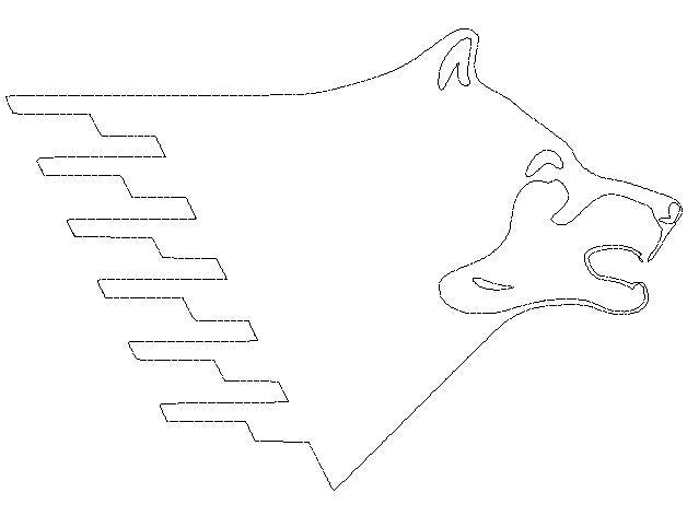 Blizzard Husky Fan Rider (Celtic) by kmyszka