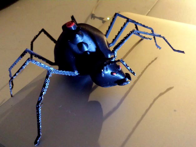 Black Widow Spider by lroger01