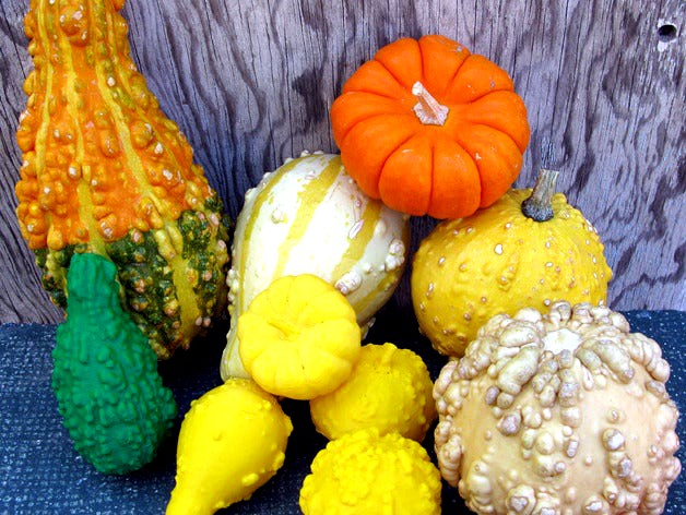 Five Gourds by pmoews