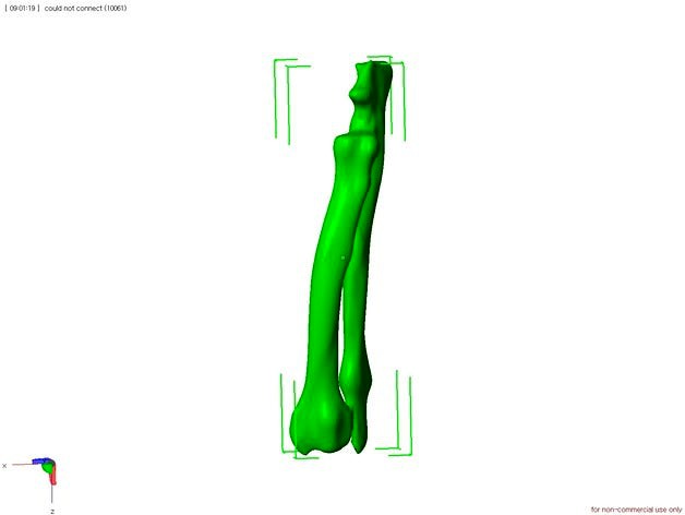 Canine radius by vetsurheo