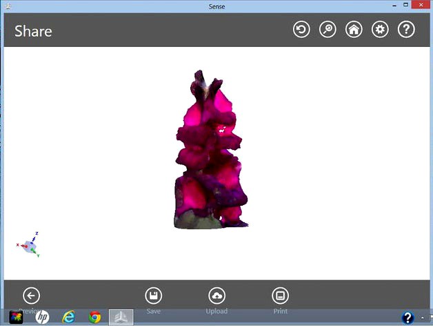 Gladioli stem by daveb500