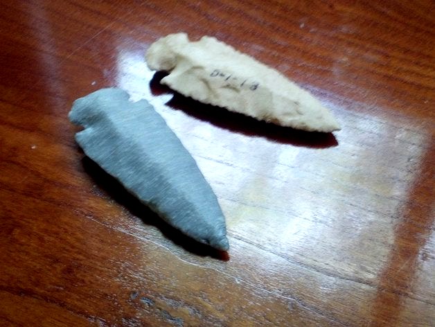 Flint Point Scan, Turkey Tail by Jake_D