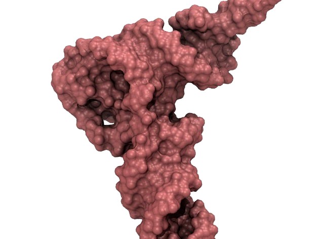 transfer RNA by aarono