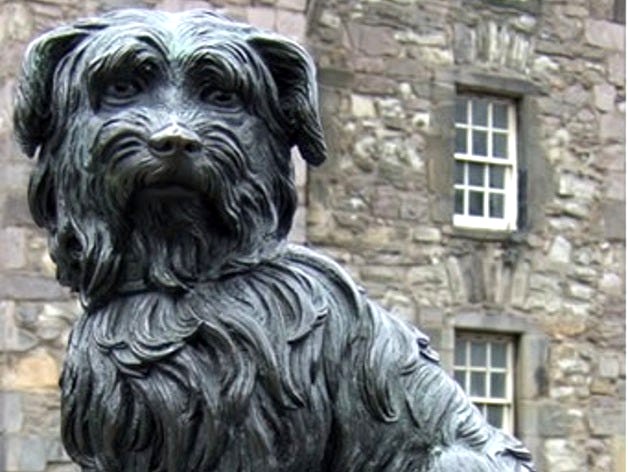 Greyfriars Bobby by FJ512