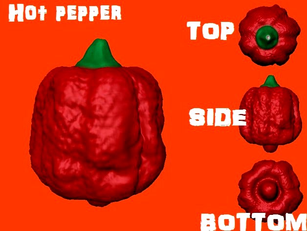 Hot pepper by 5665