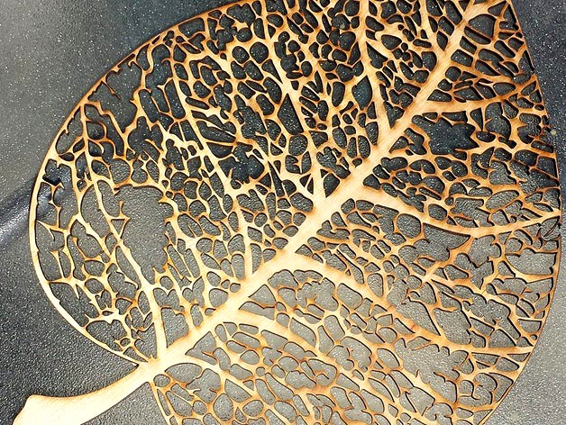 Laser cut leaf skeleton by mistercrunch