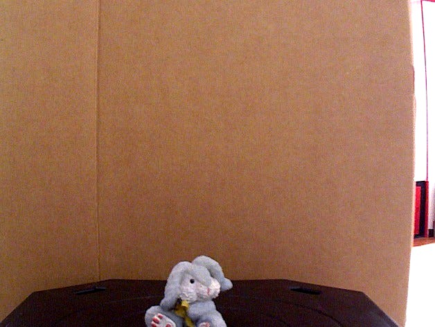 Tiny rabbit by migster