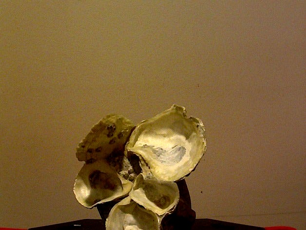 Oysterrock scan attempt #2 by PrintingCoconuts