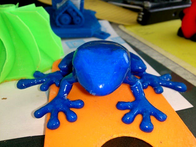 Frog From LeapFrog by ProCoPrint3D