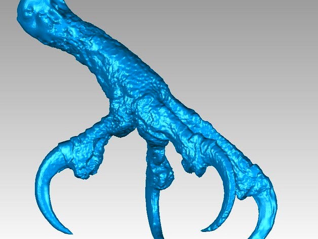 Leg and claws of an Osprey by JulPal